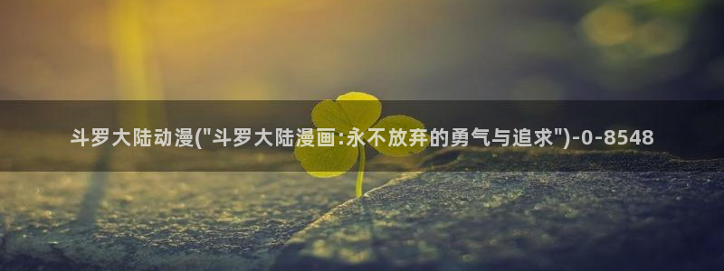 全职高手动漫免费观看