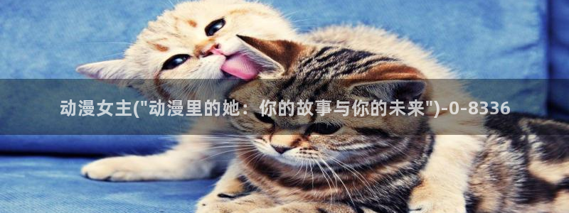 动漫网