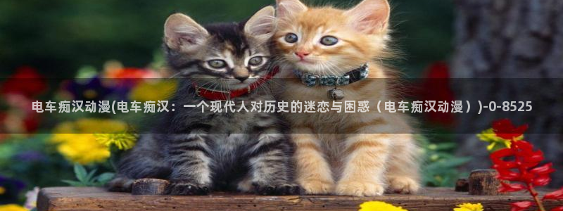 日本成人动漫：电车痴汉动漫(电车痴汉：一个现代人对历史的迷恋与困惑（电车痴汉动漫）)