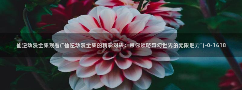 动漫屋：仙逆动漫全集观看(\
