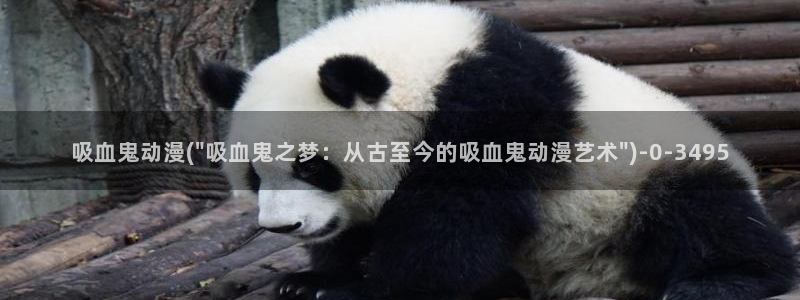 情色动漫