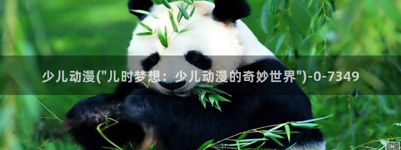 看动漫